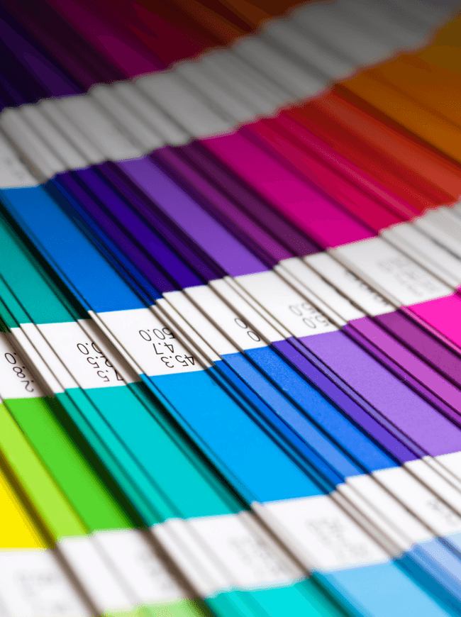 VIVID, VIBRANT COLOUR